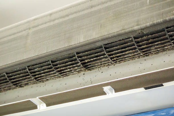 Best Best Air Duct Cleaning Near Me  in Loma Linda, CA